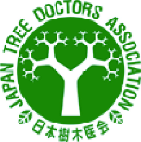 �T���v���摜